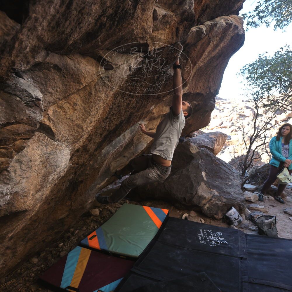 Filename: SRM_20250202_1613490.jpg
Aperture: f/5.6
Shutter Speed: 1/400
Body: Canon EOS R6
Lens: Canon EF 16-35mm f/2.8 L