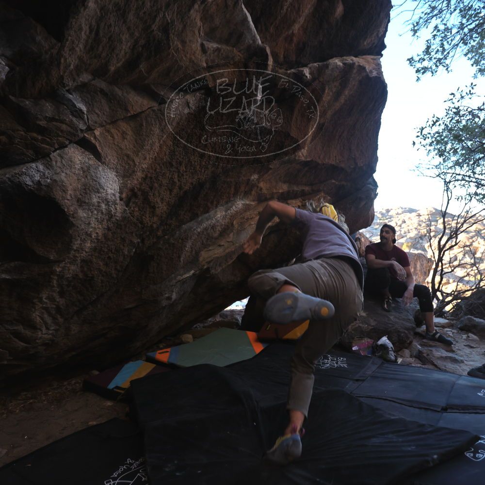 Filename: SRM_20250202_1655243.jpg
Aperture: f/4.0
Shutter Speed: 1/400
Body: Canon EOS R6
Lens: Canon EF 16-35mm f/2.8 L