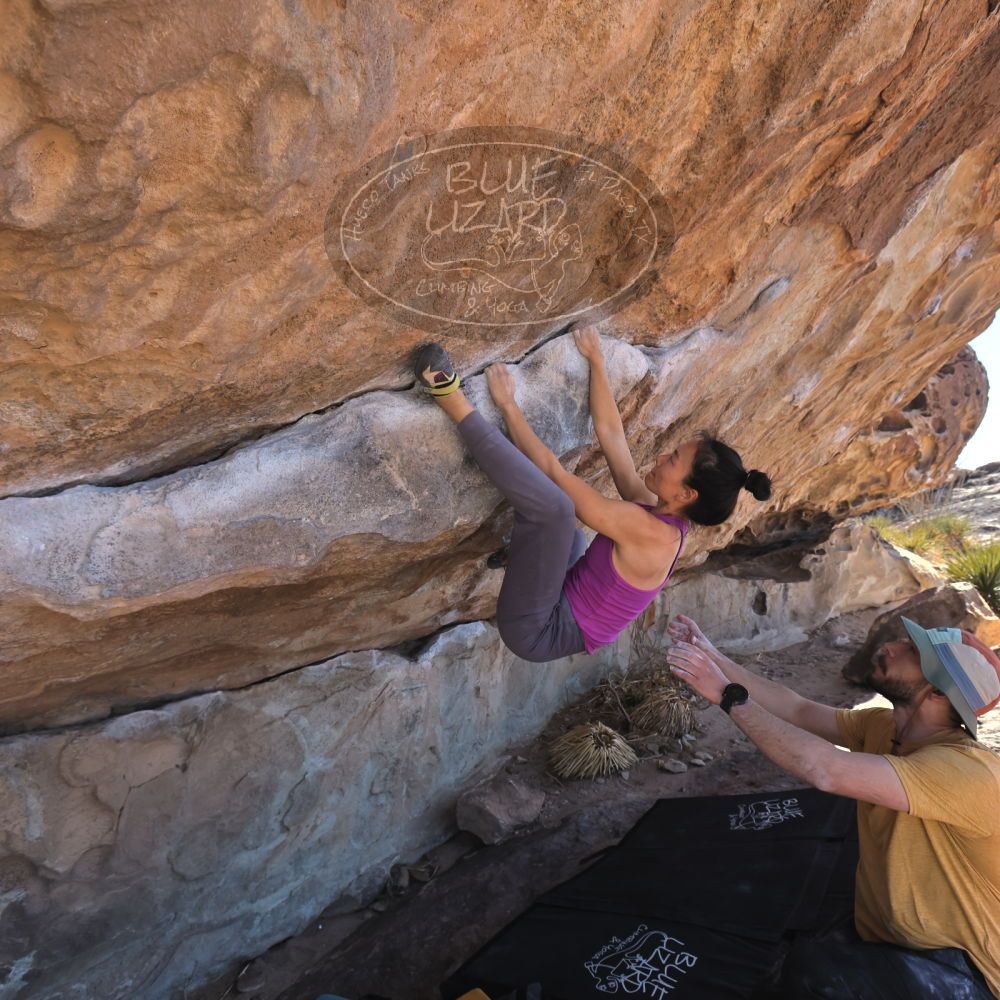 

Filename: SRM_20250205_1226380.jpg
Aperture: f/5.6
Shutter Speed: 1/400
Body: Canon EOS R6
Lens: Canon EF 16-35mm f/2.8 L