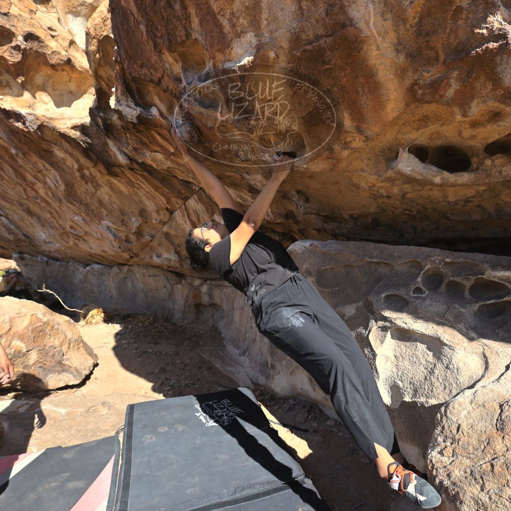 

Filename: SRM_20250205_1325560.jpg
Aperture: f/5.6
Shutter Speed: 1/400
Body: Canon EOS R6
Lens: Canon EF 16-35mm f/2.8 L