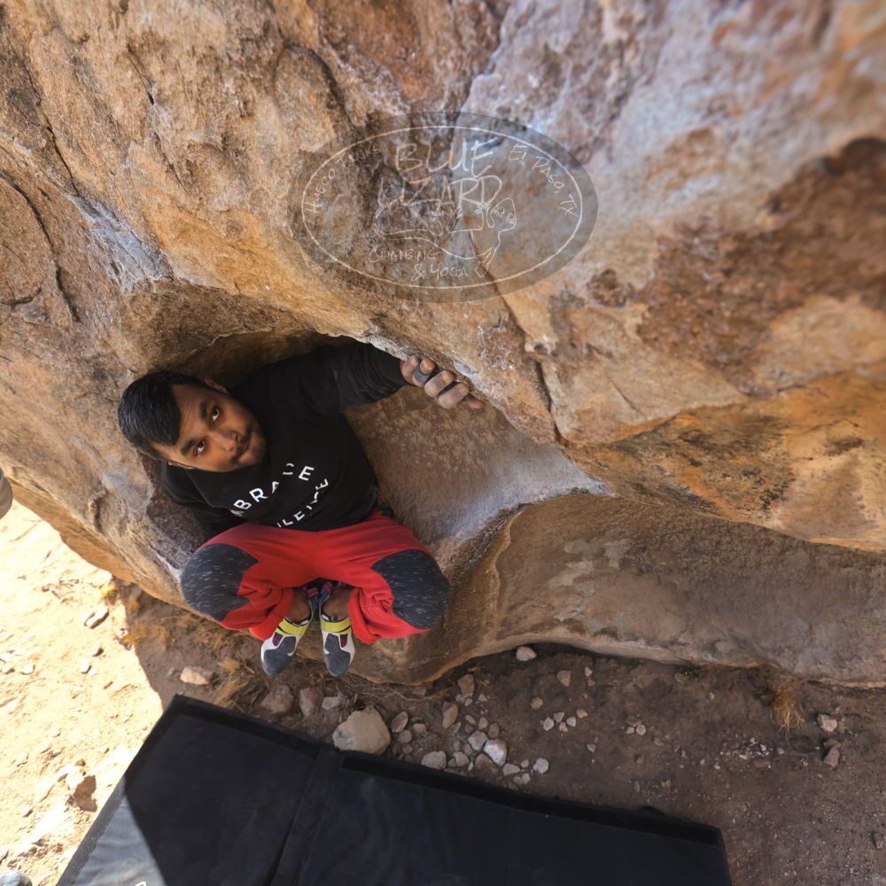 

Filename: SRM_20250221_1055300.jpg
Aperture: f/4.5
Shutter Speed: 1/400
Body: Canon EOS R6
Lens: Canon EF 16-35mm f/2.8 L