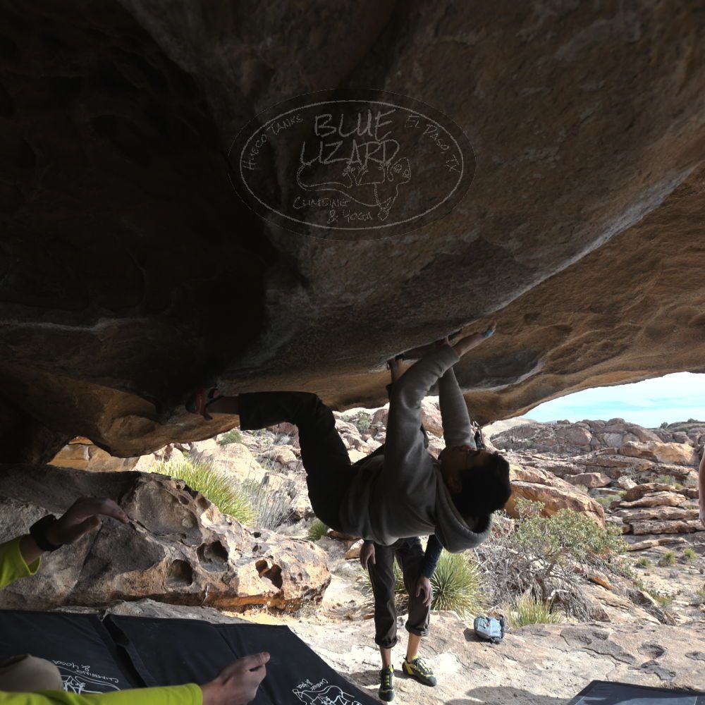 

Filename: SRM_20250221_1309430.jpg
Aperture: f/5.0
Shutter Speed: 1/400
Body: Canon EOS R6
Lens: Canon EF 16-35mm f/2.8 L