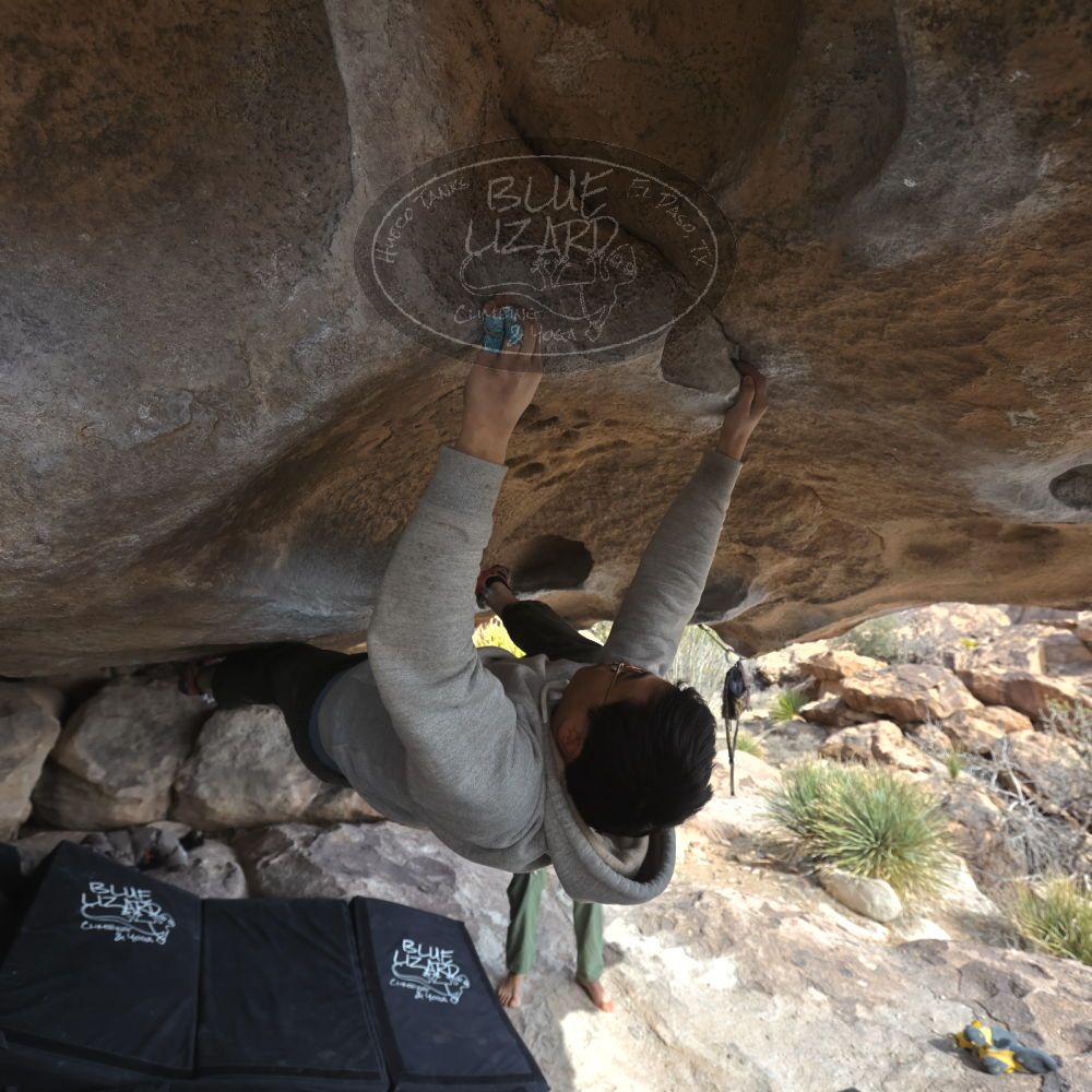 

Filename: SRM_20250221_1404330.jpg
Aperture: f/5.0
Shutter Speed: 1/400
Body: Canon EOS R6
Lens: Canon EF 16-35mm f/2.8 L