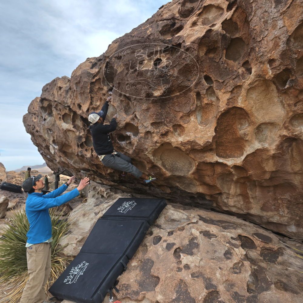 

Filename: SRM_20250222_0942430.jpg
Aperture: f/5.6
Shutter Speed: 1/400
Body: Canon EOS R6
Lens: Canon EF 16-35mm f/2.8 L