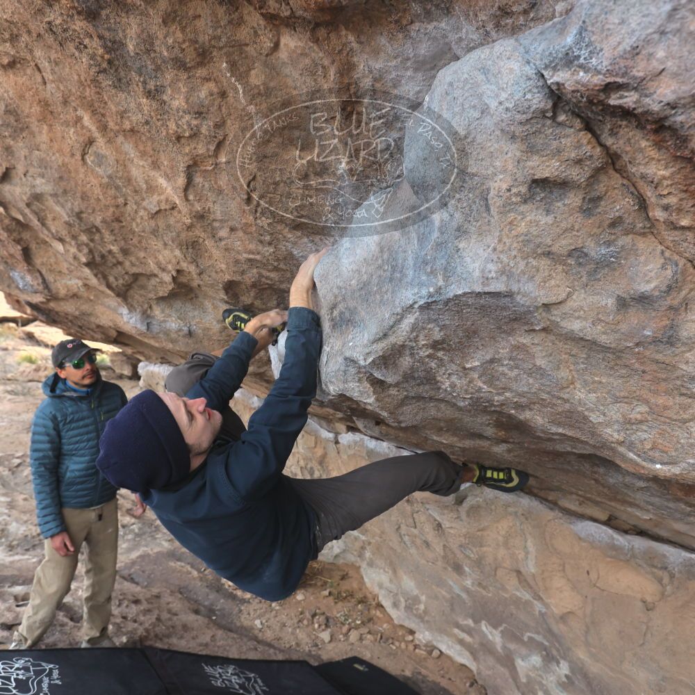 

Filename: SRM_20250222_0957110.jpg
Aperture: f/5.6
Shutter Speed: 1/400
Body: Canon EOS R6
Lens: Canon EF 16-35mm f/2.8 L