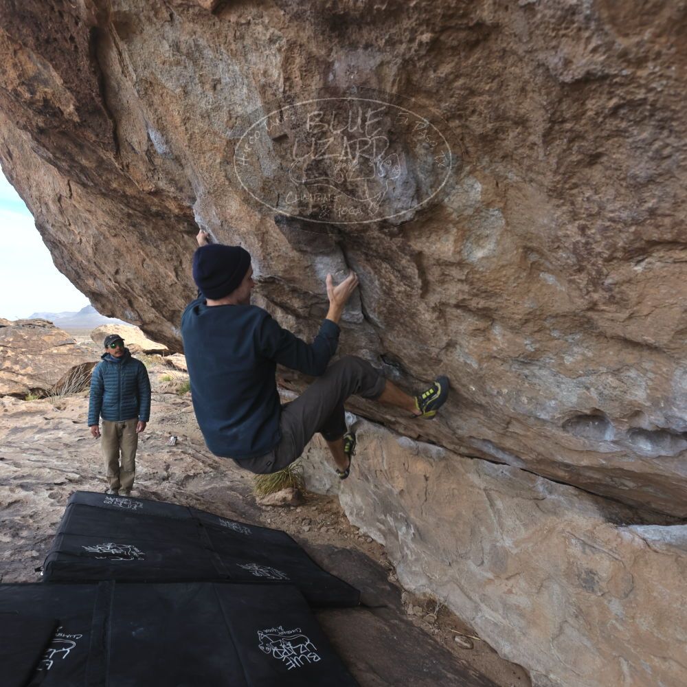 

Filename: SRM_20250222_0957281.jpg
Aperture: f/5.6
Shutter Speed: 1/400
Body: Canon EOS R6
Lens: Canon EF 16-35mm f/2.8 L