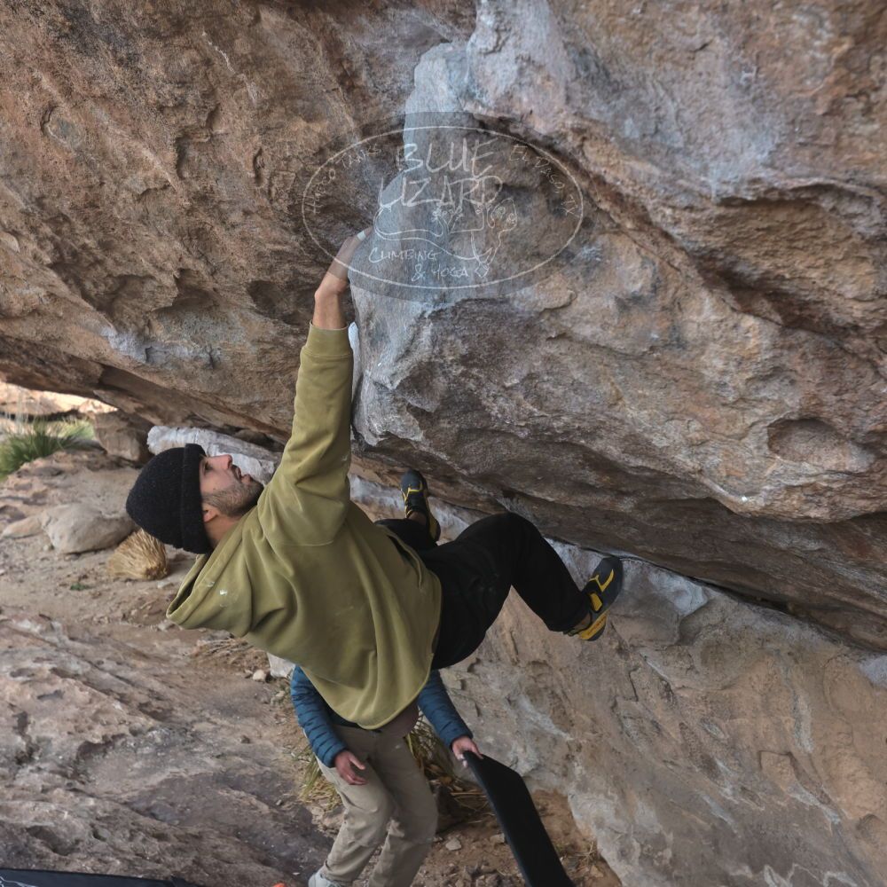 

Filename: SRM_20250222_1002070.jpg
Aperture: f/5.6
Shutter Speed: 1/400
Body: Canon EOS R6
Lens: Canon EF 16-35mm f/2.8 L