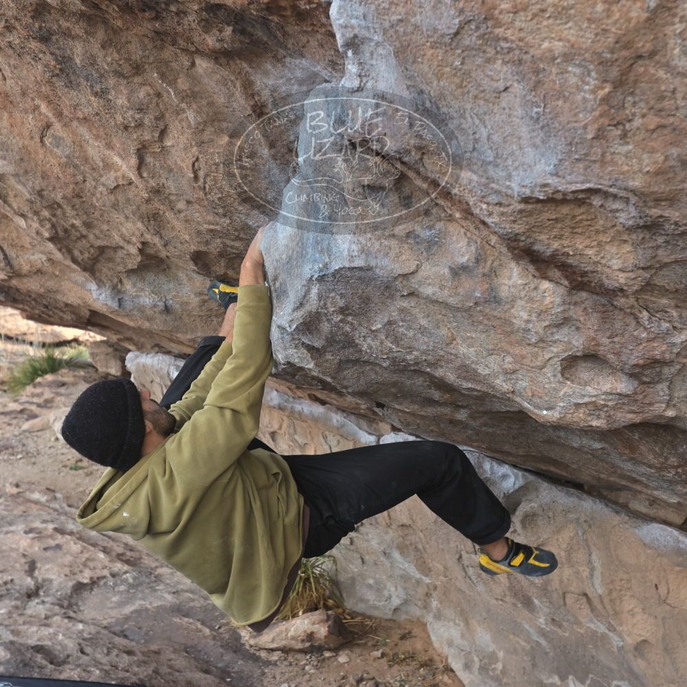 

Filename: SRM_20250222_1002160.jpg
Aperture: f/5.6
Shutter Speed: 1/400
Body: Canon EOS R6
Lens: Canon EF 16-35mm f/2.8 L