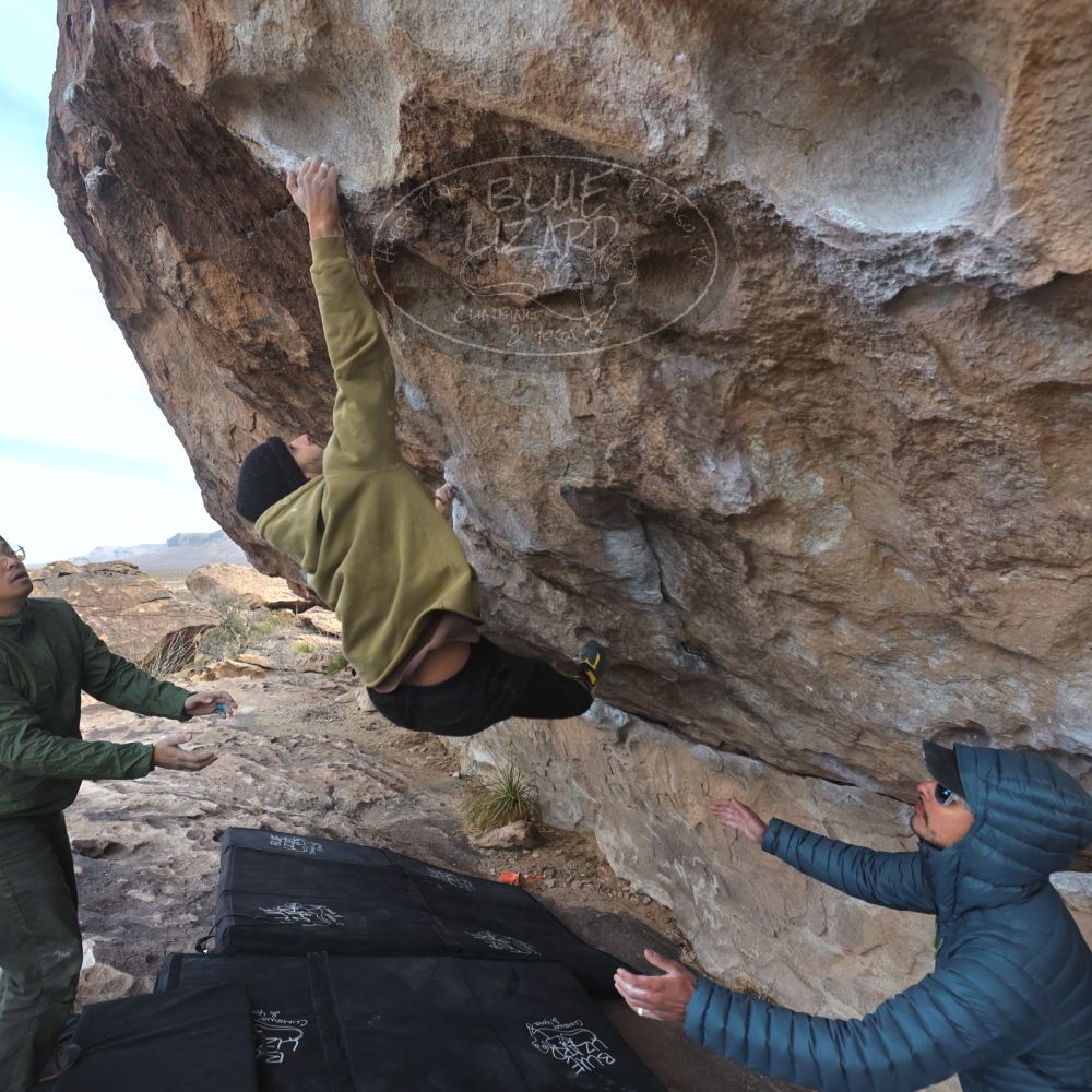 

Filename: SRM_20250222_1004011.jpg
Aperture: f/5.6
Shutter Speed: 1/400
Body: Canon EOS R6
Lens: Canon EF 16-35mm f/2.8 L