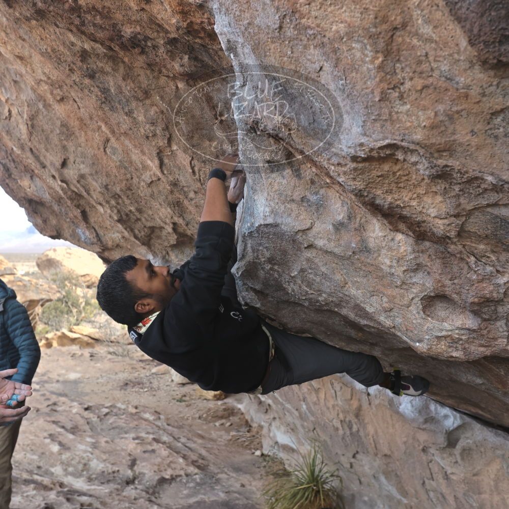 

Filename: SRM_20250222_1018230.jpg
Aperture: f/5.6
Shutter Speed: 1/400
Body: Canon EOS R6
Lens: Canon EF 16-35mm f/2.8 L