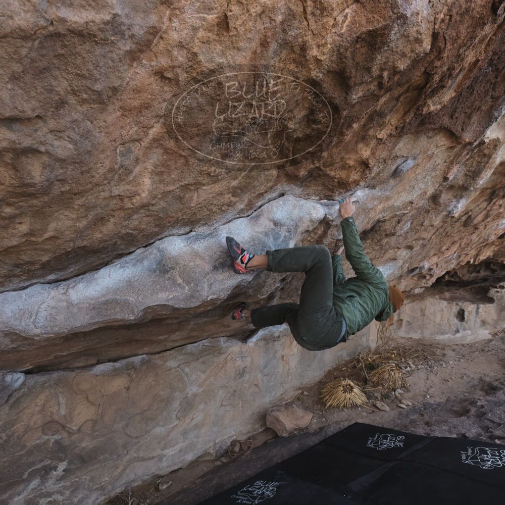 

Filename: SRM_20250222_1039220.jpg
Aperture: f/5.6
Shutter Speed: 1/400
Body: Canon EOS R6
Lens: Canon EF 16-35mm f/2.8 L