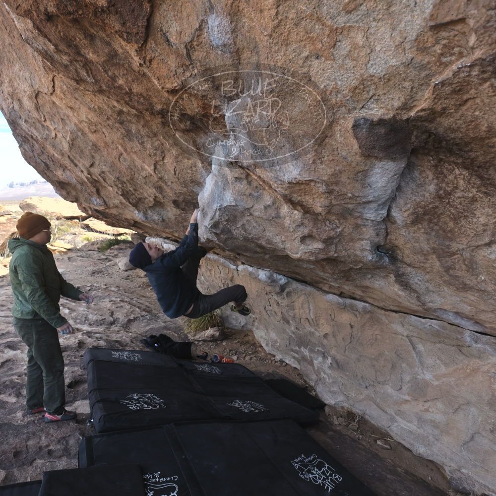 

Filename: SRM_20250222_1041590.jpg
Aperture: f/5.6
Shutter Speed: 1/400
Body: Canon EOS R6
Lens: Canon EF 16-35mm f/2.8 L