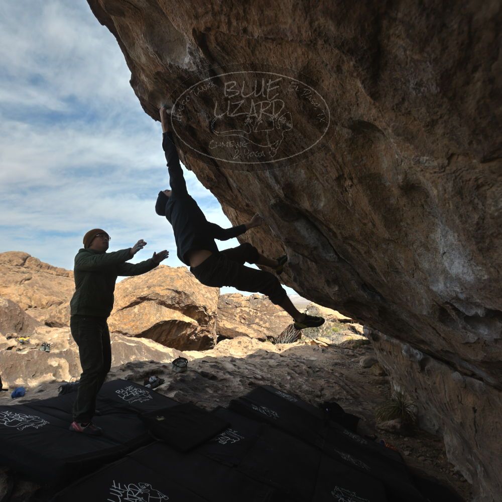 

Filename: SRM_20250222_1042182.jpg
Aperture: f/5.6
Shutter Speed: 1/400
Body: Canon EOS R6
Lens: Canon EF 16-35mm f/2.8 L