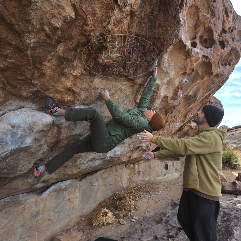 

Filename: SRM_20250222_1106340.jpg
Aperture: f/5.6
Shutter Speed: 1/400
Body: Canon EOS R6
Lens: Canon EF 16-35mm f/2.8 L