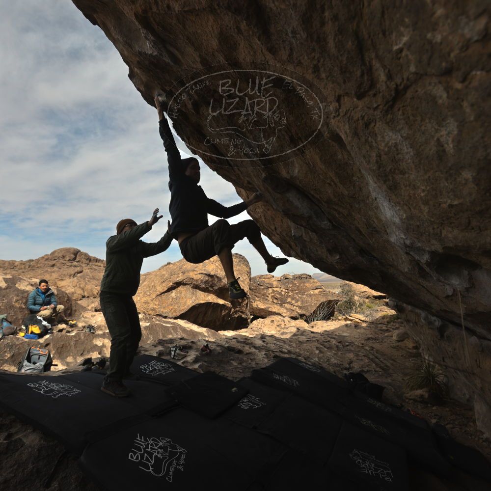 

Filename: SRM_20250222_1108360.jpg
Aperture: f/5.6
Shutter Speed: 1/400
Body: Canon EOS R6
Lens: Canon EF 16-35mm f/2.8 L