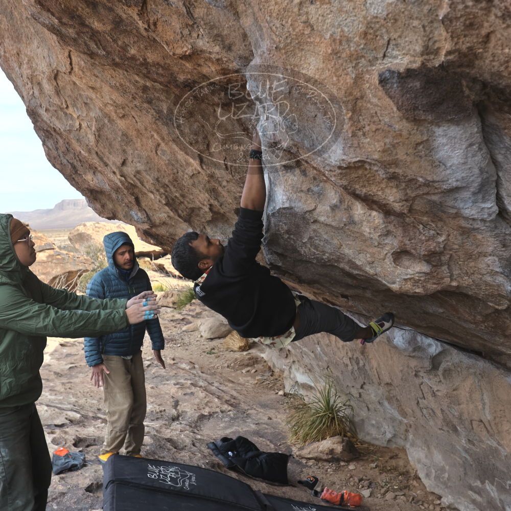 

Filename: SRM_20250222_1126080.jpg
Aperture: f/5.6
Shutter Speed: 1/400
Body: Canon EOS R6
Lens: Canon EF 16-35mm f/2.8 L