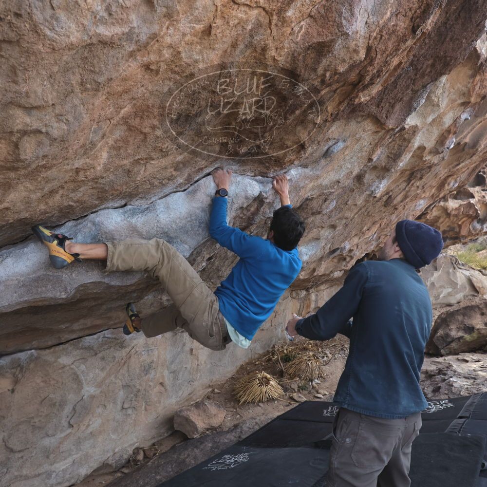 

Filename: SRM_20250222_1133000.jpg
Aperture: f/5.6
Shutter Speed: 1/400
Body: Canon EOS R6
Lens: Canon EF 16-35mm f/2.8 L