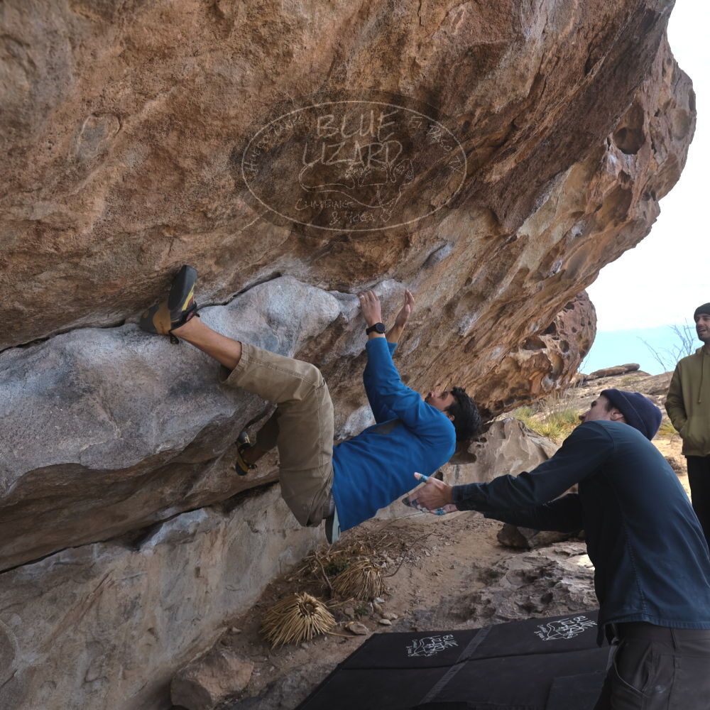 

Filename: SRM_20250222_1133170.jpg
Aperture: f/5.6
Shutter Speed: 1/400
Body: Canon EOS R6
Lens: Canon EF 16-35mm f/2.8 L