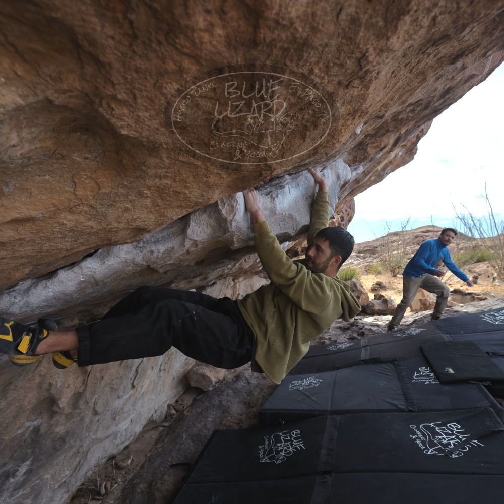 

Filename: SRM_20250222_1136370.jpg
Aperture: f/5.6
Shutter Speed: 1/400
Body: Canon EOS R6
Lens: Canon EF 16-35mm f/2.8 L