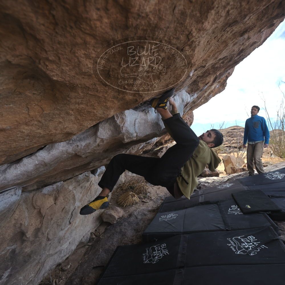 

Filename: SRM_20250222_1136390.jpg
Aperture: f/5.6
Shutter Speed: 1/400
Body: Canon EOS R6
Lens: Canon EF 16-35mm f/2.8 L