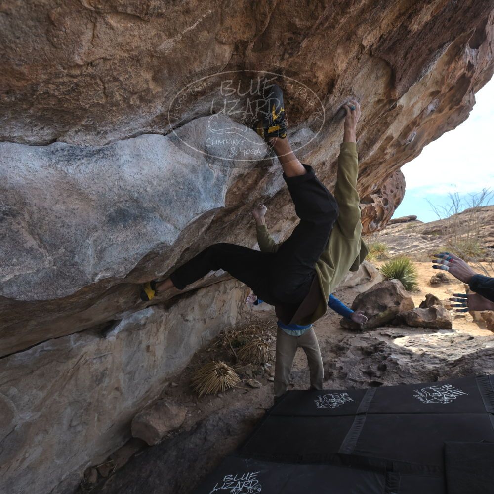 

Filename: SRM_20250222_1137000.jpg
Aperture: f/5.6
Shutter Speed: 1/400
Body: Canon EOS R6
Lens: Canon EF 16-35mm f/2.8 L