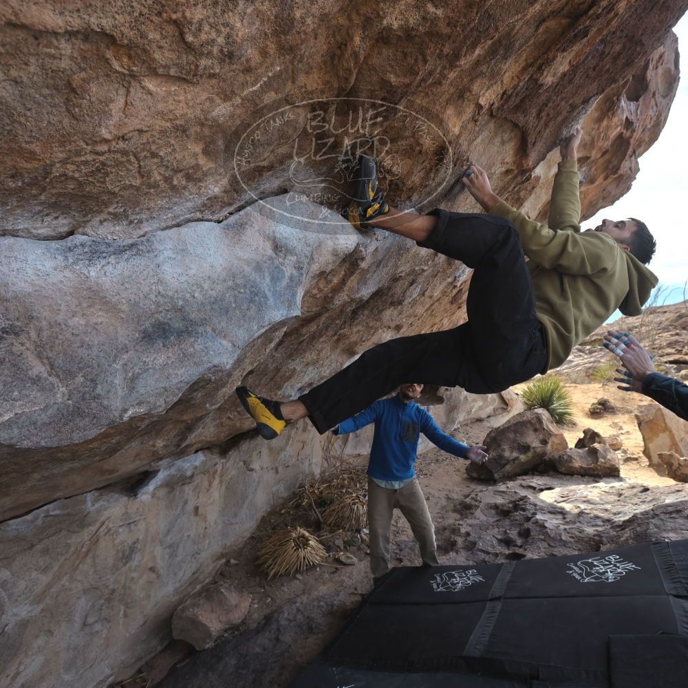 

Filename: SRM_20250222_1137030.jpg
Aperture: f/5.6
Shutter Speed: 1/400
Body: Canon EOS R6
Lens: Canon EF 16-35mm f/2.8 L