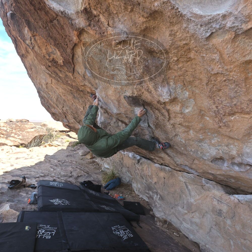 

Filename: SRM_20250222_1149560.jpg
Aperture: f/5.6
Shutter Speed: 1/400
Body: Canon EOS R6
Lens: Canon EF 16-35mm f/2.8 L