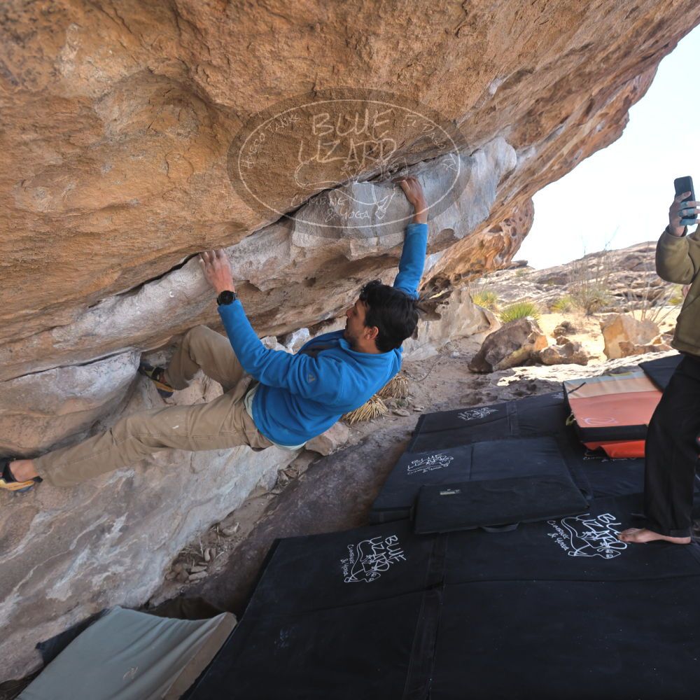 

Filename: SRM_20250222_1203240.jpg
Aperture: f/5.6
Shutter Speed: 1/400
Body: Canon EOS R6
Lens: Canon EF 16-35mm f/2.8 L