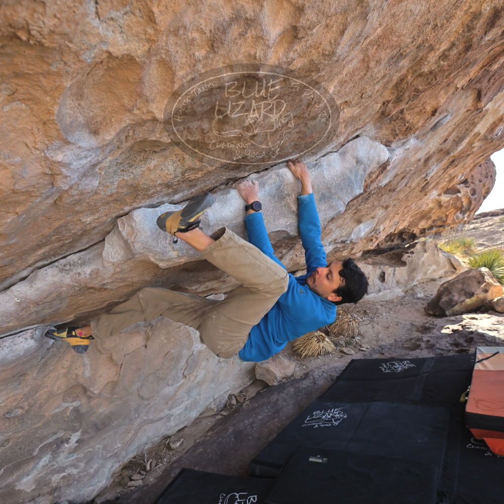 

Filename: SRM_20250222_1203290.jpg
Aperture: f/5.6
Shutter Speed: 1/400
Body: Canon EOS R6
Lens: Canon EF 16-35mm f/2.8 L