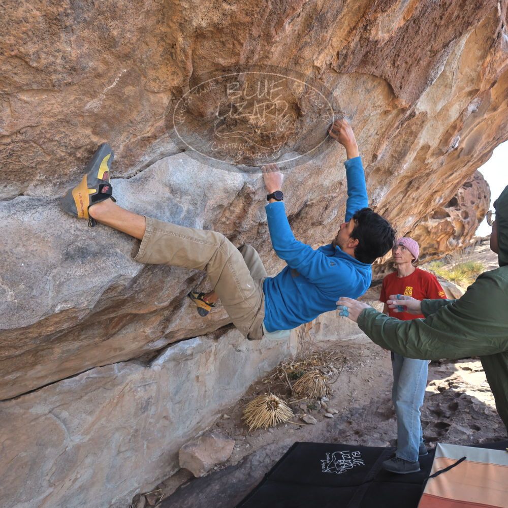 

Filename: SRM_20250222_1203450.jpg
Aperture: f/5.6
Shutter Speed: 1/400
Body: Canon EOS R6
Lens: Canon EF 16-35mm f/2.8 L