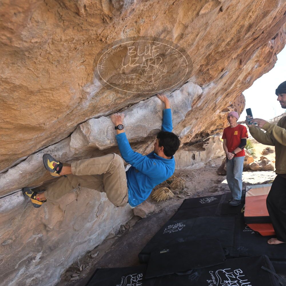 

Filename: SRM_20250222_1212480.jpg
Aperture: f/5.6
Shutter Speed: 1/400
Body: Canon EOS R6
Lens: Canon EF 16-35mm f/2.8 L