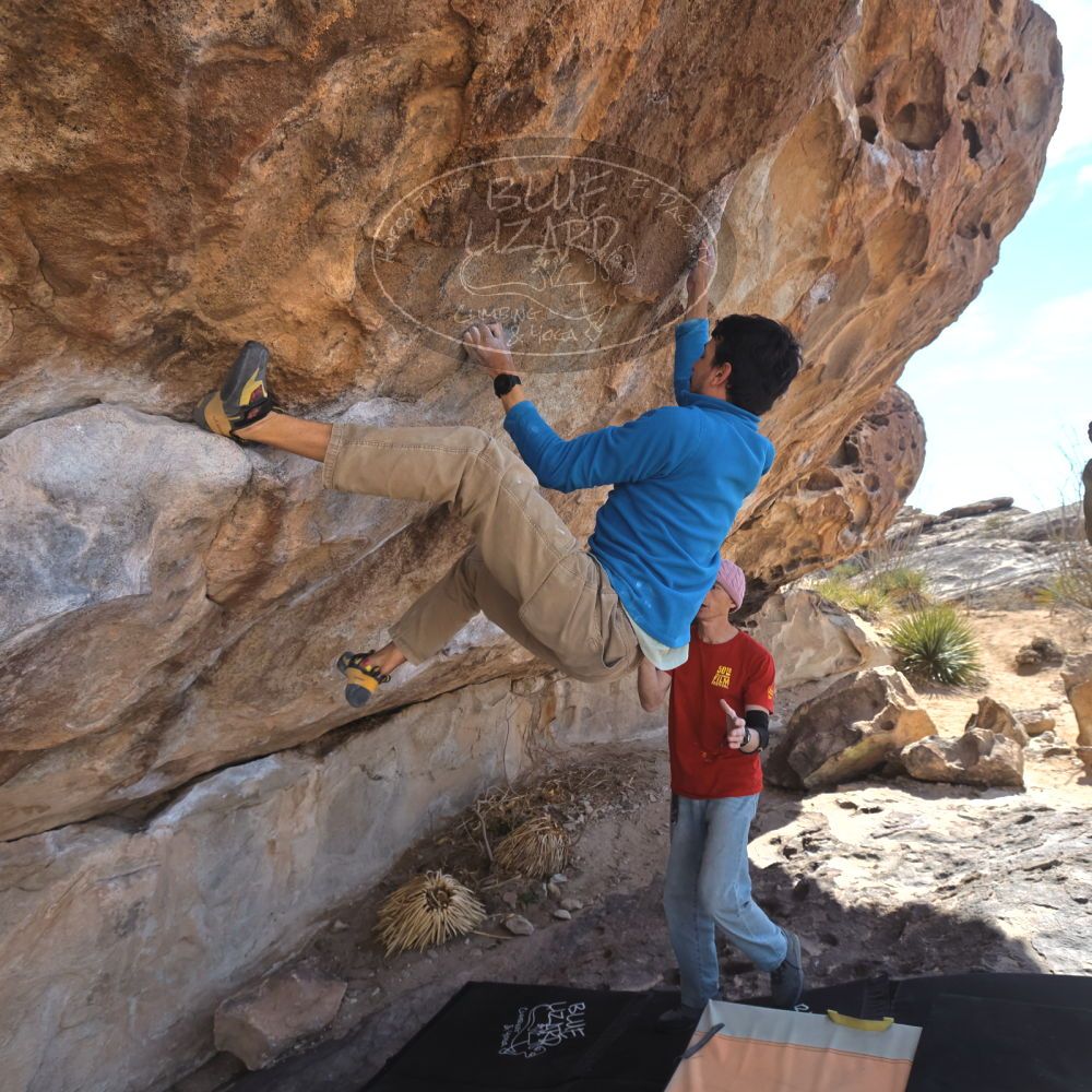 

Filename: SRM_20250222_1213230.jpg
Aperture: f/5.6
Shutter Speed: 1/400
Body: Canon EOS R6
Lens: Canon EF 16-35mm f/2.8 L