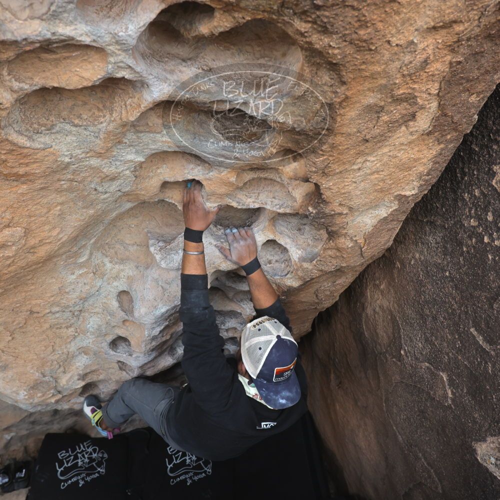 

Filename: SRM_20250222_1307490.jpg
Aperture: f/5.6
Shutter Speed: 1/400
Body: Canon EOS R6
Lens: Canon EF 16-35mm f/2.8 L