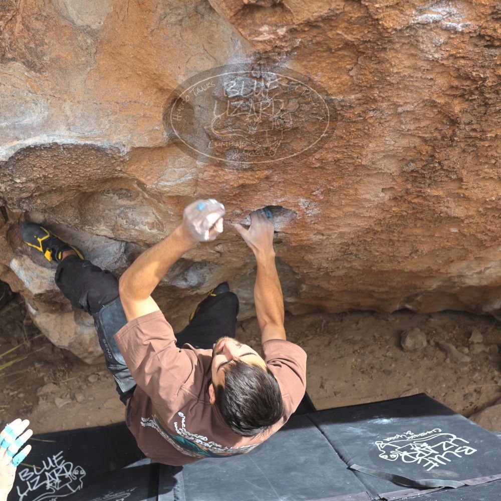 

Filename: SRM_20250222_1316420.jpg
Aperture: f/5.6
Shutter Speed: 1/400
Body: Canon EOS R6
Lens: Canon EF 16-35mm f/2.8 L