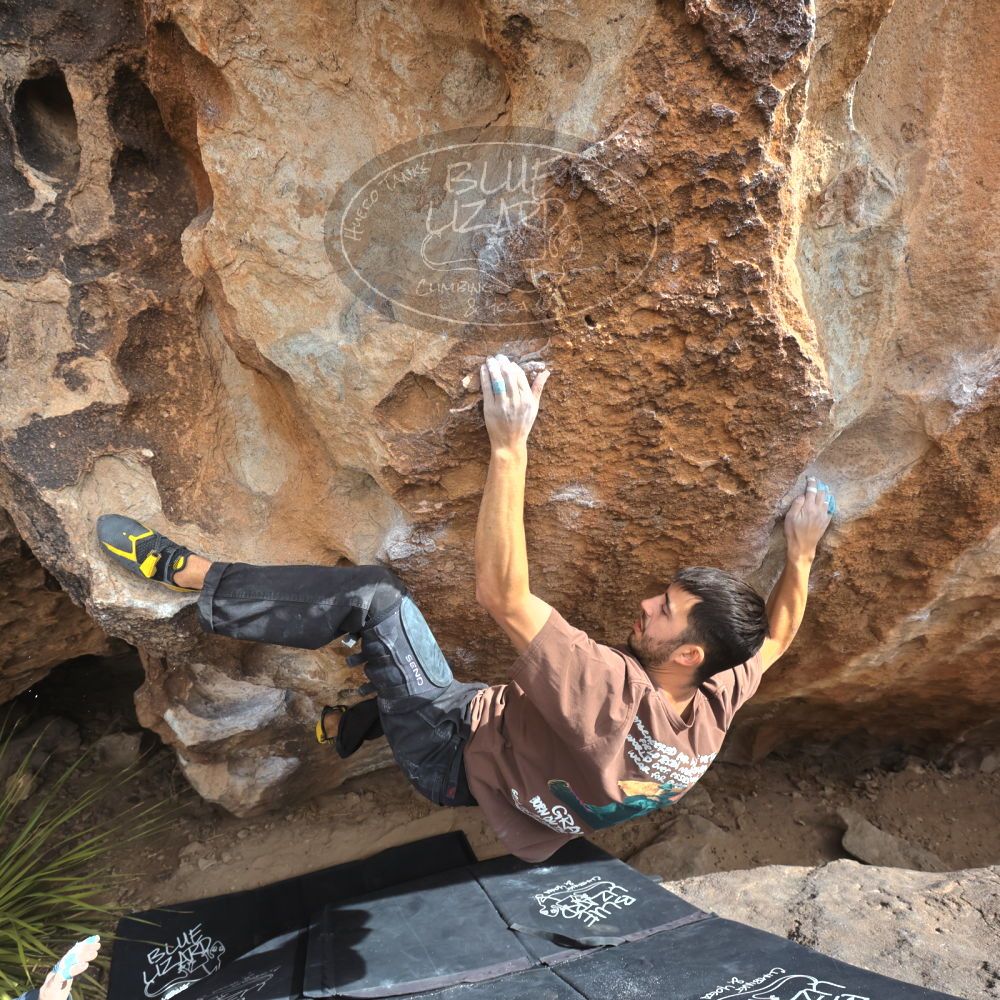 

Filename: SRM_20250222_1316520.jpg
Aperture: f/5.6
Shutter Speed: 1/400
Body: Canon EOS R6
Lens: Canon EF 16-35mm f/2.8 L