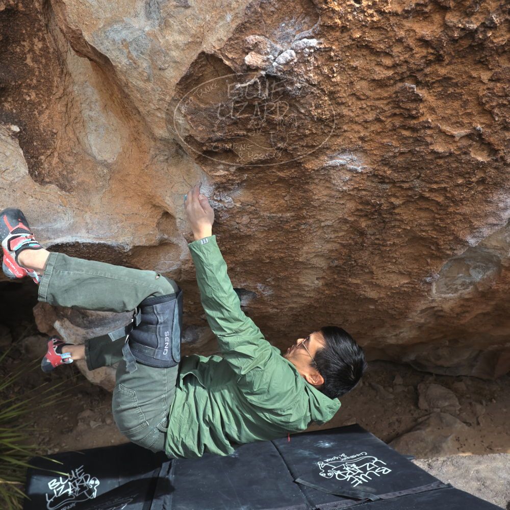 

Filename: SRM_20250222_1326580.jpg
Aperture: f/5.6
Shutter Speed: 1/400
Body: Canon EOS R6
Lens: Canon EF 16-35mm f/2.8 L