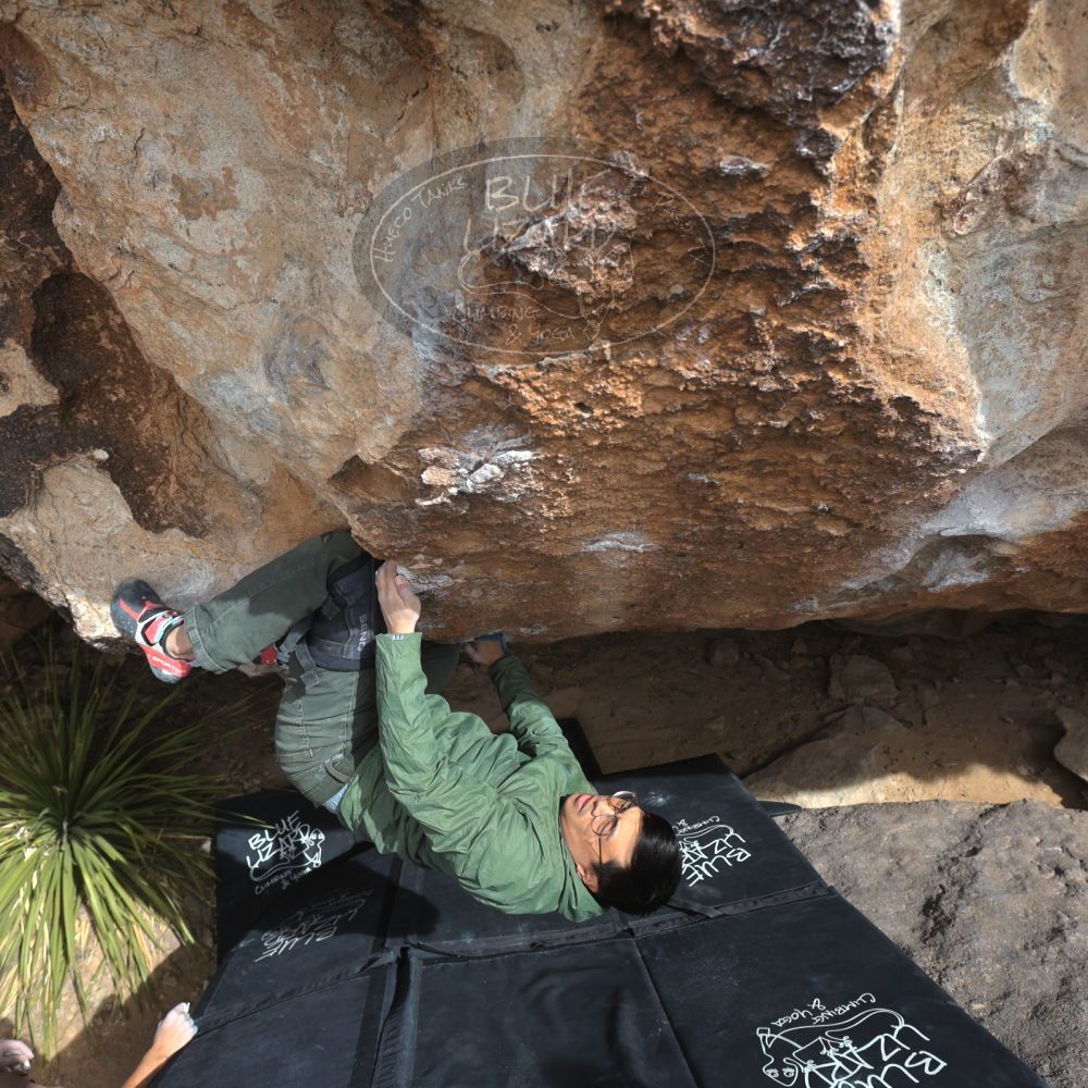 

Filename: SRM_20250222_1327000.jpg
Aperture: f/5.6
Shutter Speed: 1/400
Body: Canon EOS R6
Lens: Canon EF 16-35mm f/2.8 L