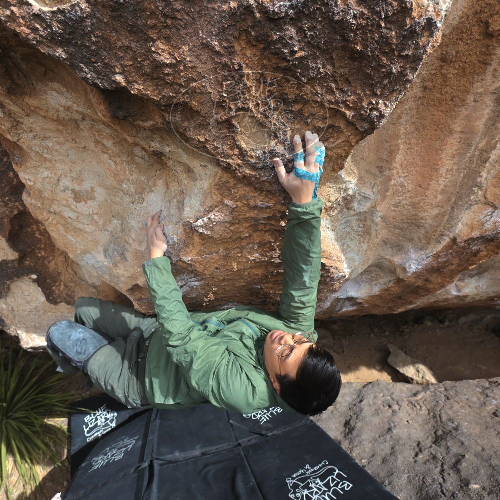 

Filename: SRM_20250222_1327090.jpg
Aperture: f/5.6
Shutter Speed: 1/400
Body: Canon EOS R6
Lens: Canon EF 16-35mm f/2.8 L