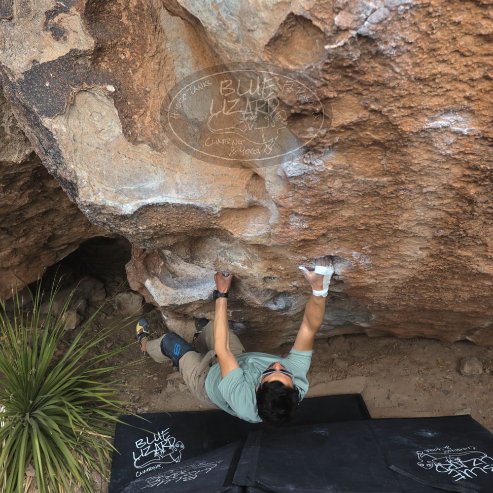 

Filename: SRM_20250222_1329560.jpg
Aperture: f/5.6
Shutter Speed: 1/400
Body: Canon EOS R6
Lens: Canon EF 16-35mm f/2.8 L