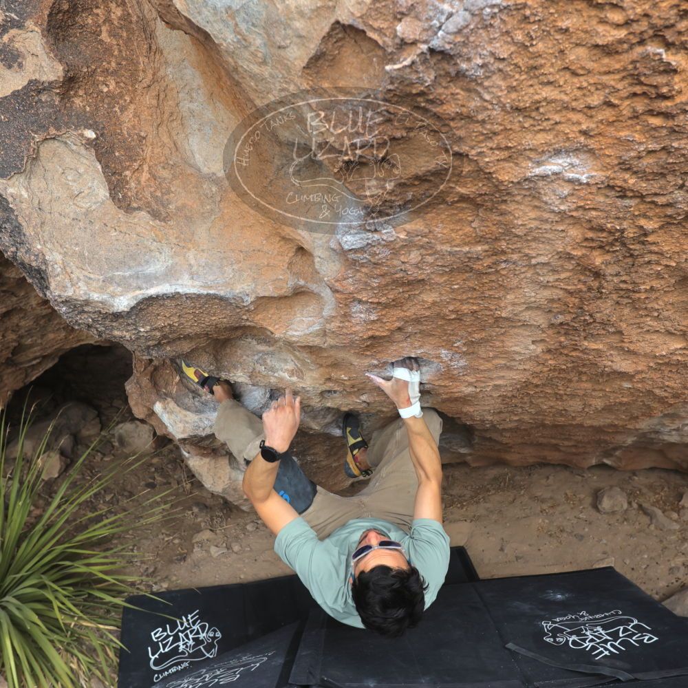 

Filename: SRM_20250222_1330010.jpg
Aperture: f/5.6
Shutter Speed: 1/400
Body: Canon EOS R6
Lens: Canon EF 16-35mm f/2.8 L