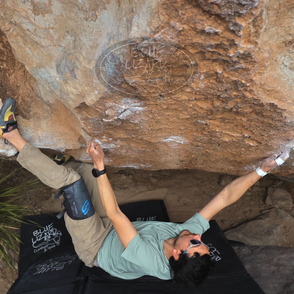 

Filename: SRM_20250222_1330120.jpg
Aperture: f/5.6
Shutter Speed: 1/400
Body: Canon EOS R6
Lens: Canon EF 16-35mm f/2.8 L