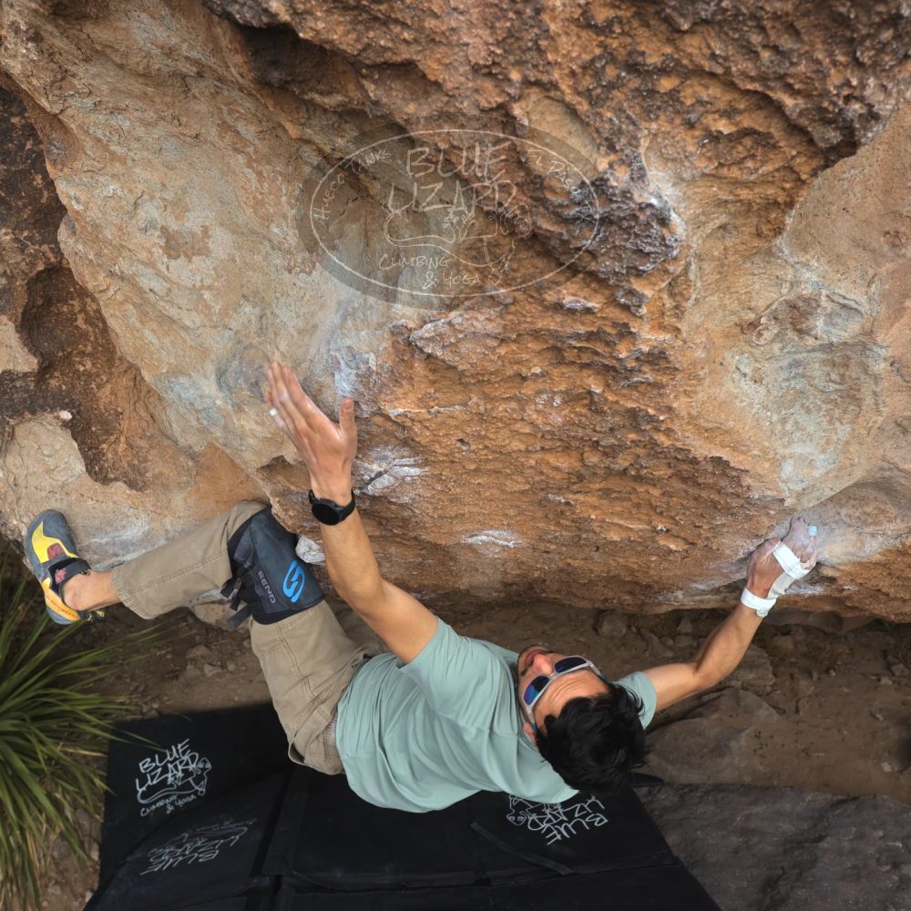 

Filename: SRM_20250222_1330230.jpg
Aperture: f/5.6
Shutter Speed: 1/400
Body: Canon EOS R6
Lens: Canon EF 16-35mm f/2.8 L