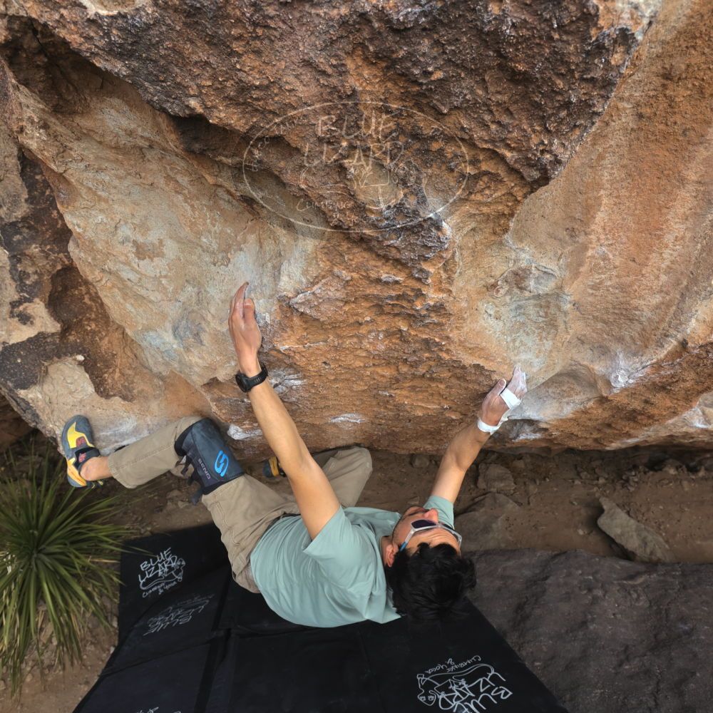 

Filename: SRM_20250222_1330270.jpg
Aperture: f/5.6
Shutter Speed: 1/400
Body: Canon EOS R6
Lens: Canon EF 16-35mm f/2.8 L