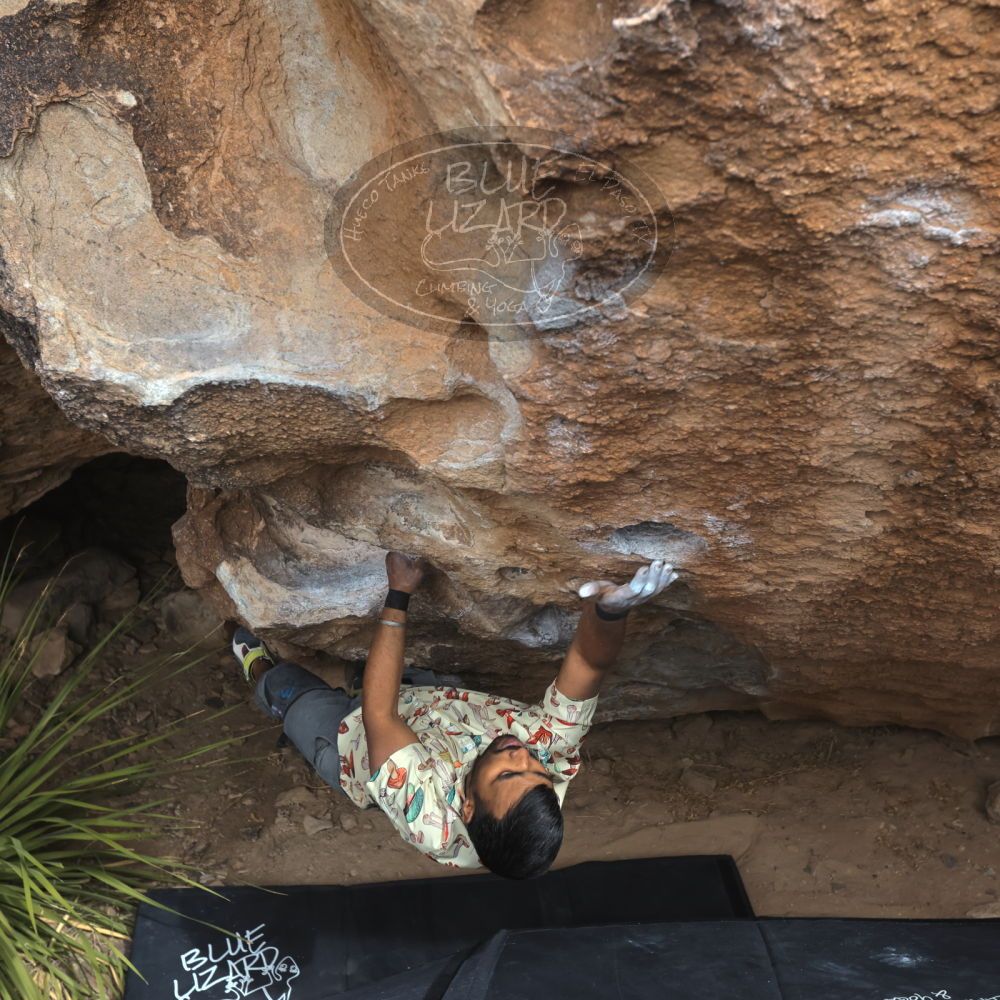 

Filename: SRM_20250222_1333140.jpg
Aperture: f/5.6
Shutter Speed: 1/400
Body: Canon EOS R6
Lens: Canon EF 16-35mm f/2.8 L