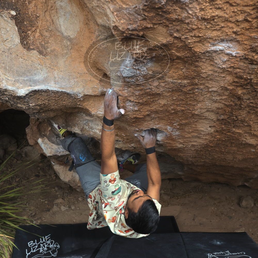 

Filename: SRM_20250222_1333190.jpg
Aperture: f/5.6
Shutter Speed: 1/400
Body: Canon EOS R6
Lens: Canon EF 16-35mm f/2.8 L