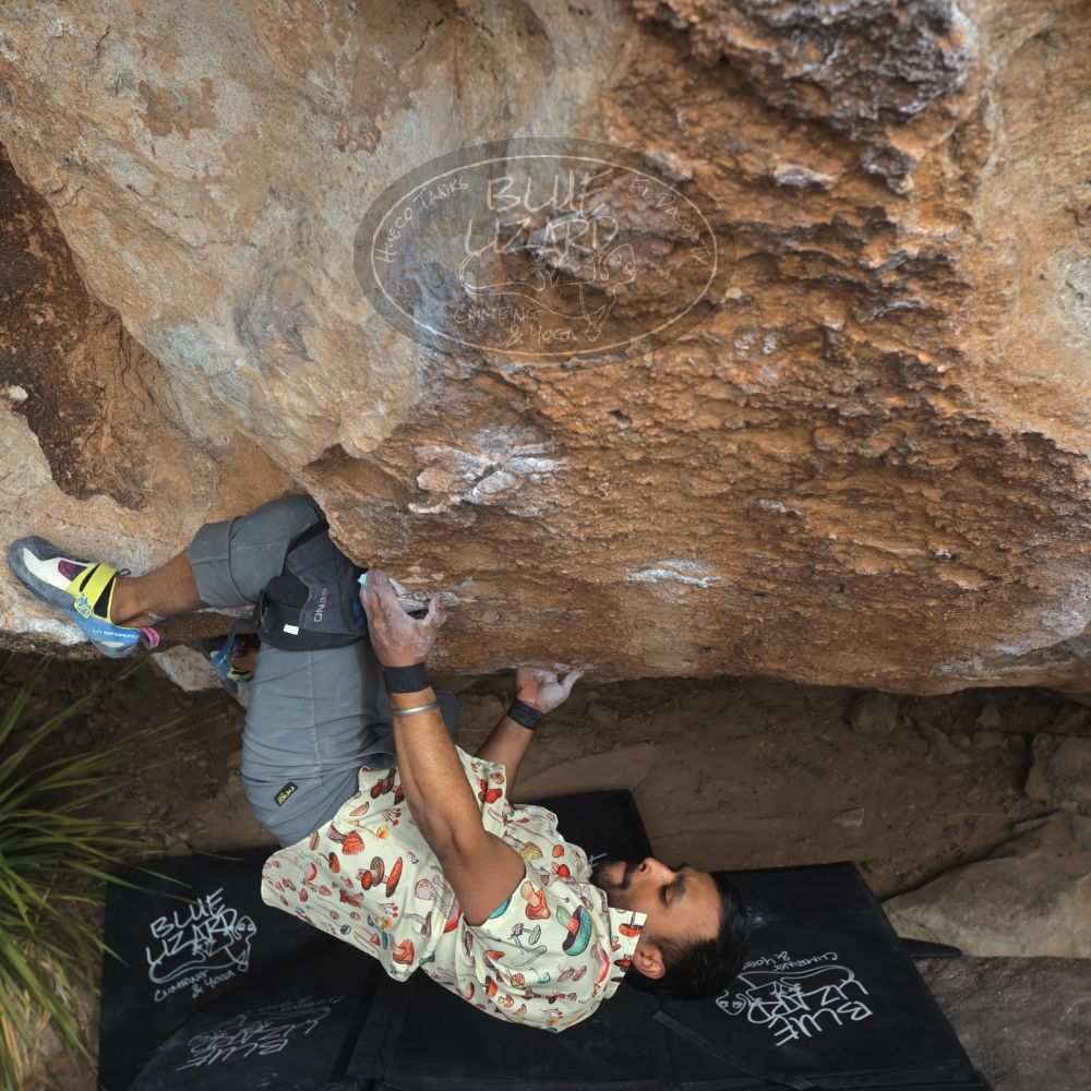 

Filename: SRM_20250222_1334400.jpg
Aperture: f/5.6
Shutter Speed: 1/400
Body: Canon EOS R6
Lens: Canon EF 16-35mm f/2.8 L