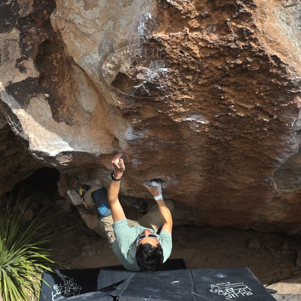 

Filename: SRM_20250222_1342540.jpg
Aperture: f/5.6
Shutter Speed: 1/400
Body: Canon EOS R6
Lens: Canon EF 16-35mm f/2.8 L