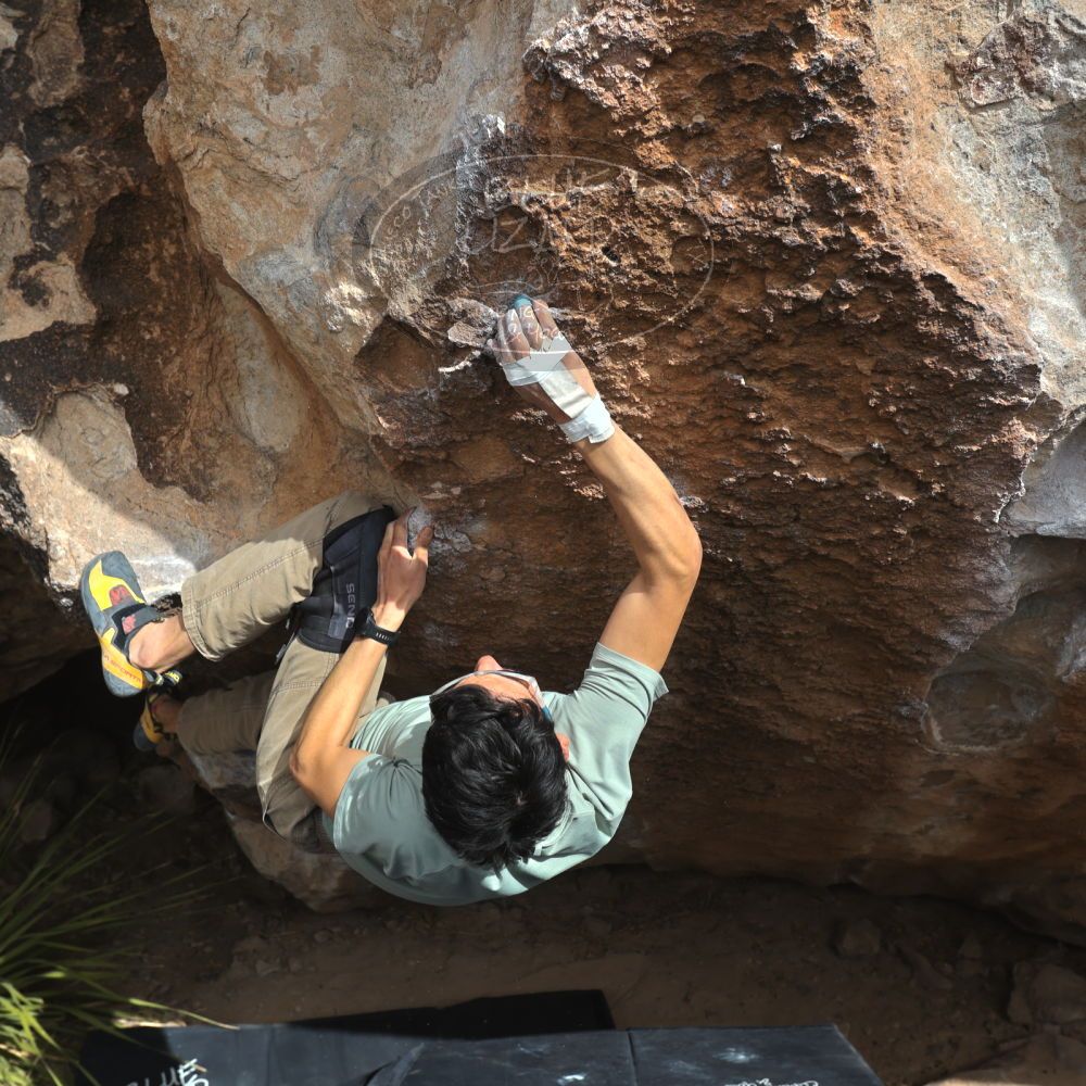 

Filename: SRM_20250222_1343040.jpg
Aperture: f/5.6
Shutter Speed: 1/400
Body: Canon EOS R6
Lens: Canon EF 16-35mm f/2.8 L