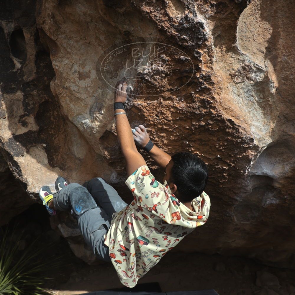 

Filename: SRM_20250222_1348540.jpg
Aperture: f/5.6
Shutter Speed: 1/400
Body: Canon EOS R6
Lens: Canon EF 16-35mm f/2.8 L