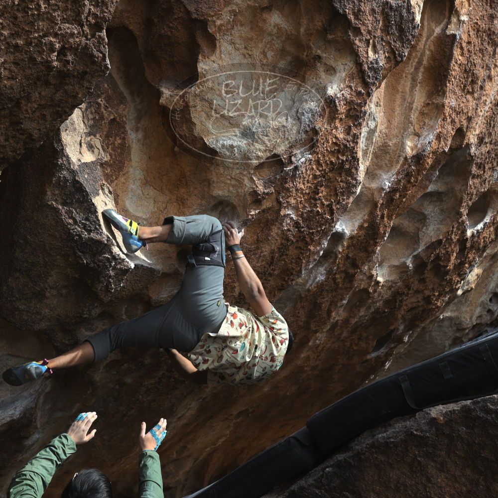 

Filename: SRM_20250222_1406430.jpg
Aperture: f/5.6
Shutter Speed: 1/400
Body: Canon EOS R6
Lens: Canon EF 16-35mm f/2.8 L